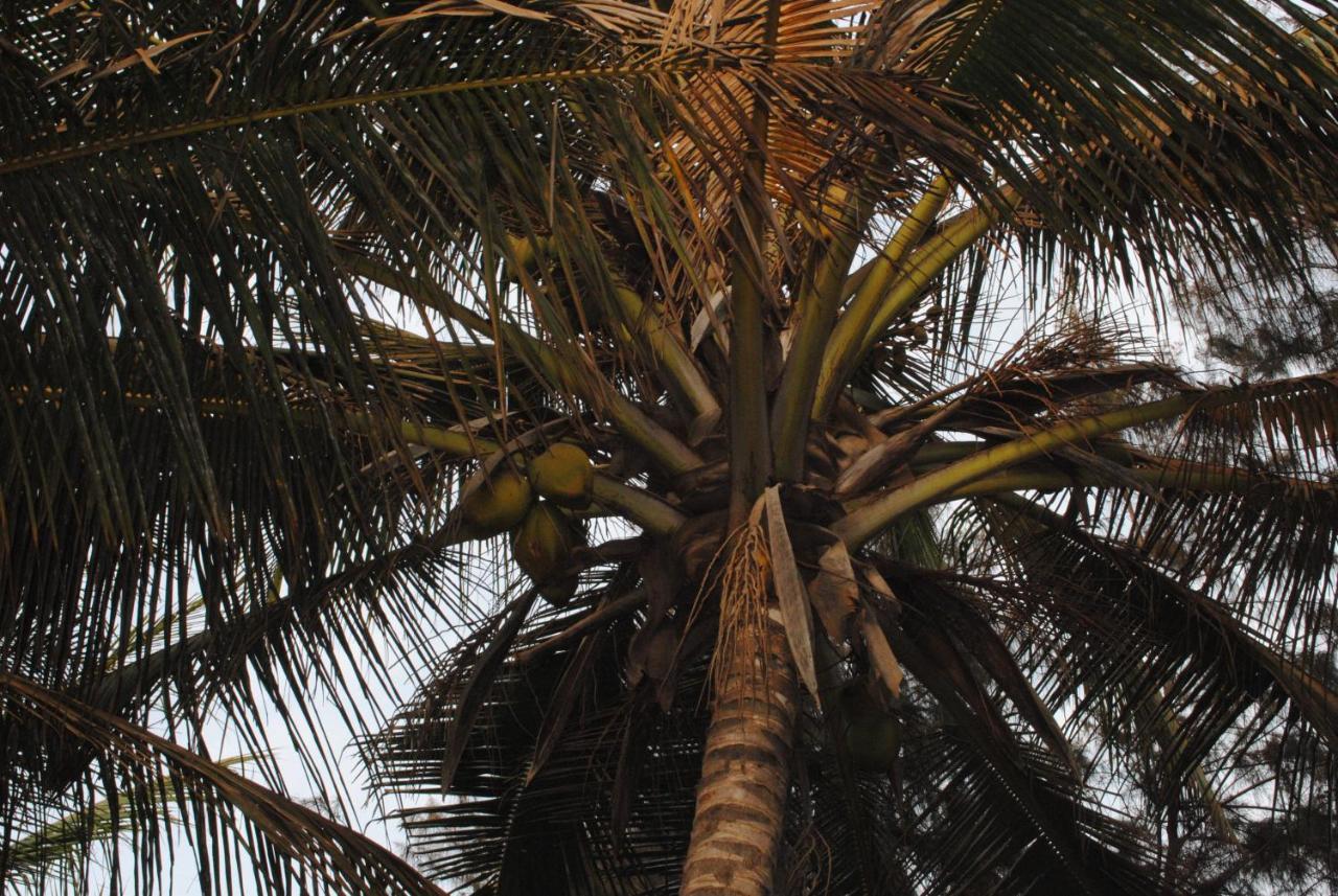 Rainbow Beach Resort Sanyang エクステリア 写真